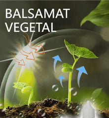 🌱【Tavaszi akció 50%】🌱Folyékony oldat, amely aktiválja a növényeket és virágokat