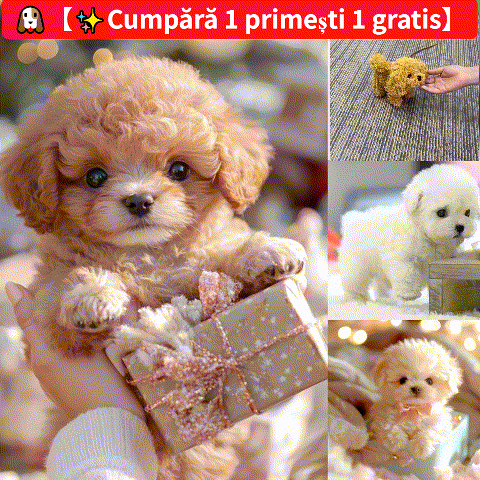 🐶🐶【Reducere de primăvară 50%】🔥Papusa de plus Puppy My Robot