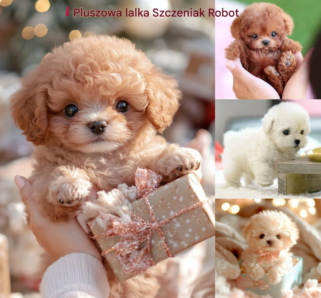 🐶🐶【Reducere de primăvară 50%】🔥Papusa de plus Puppy My Robot