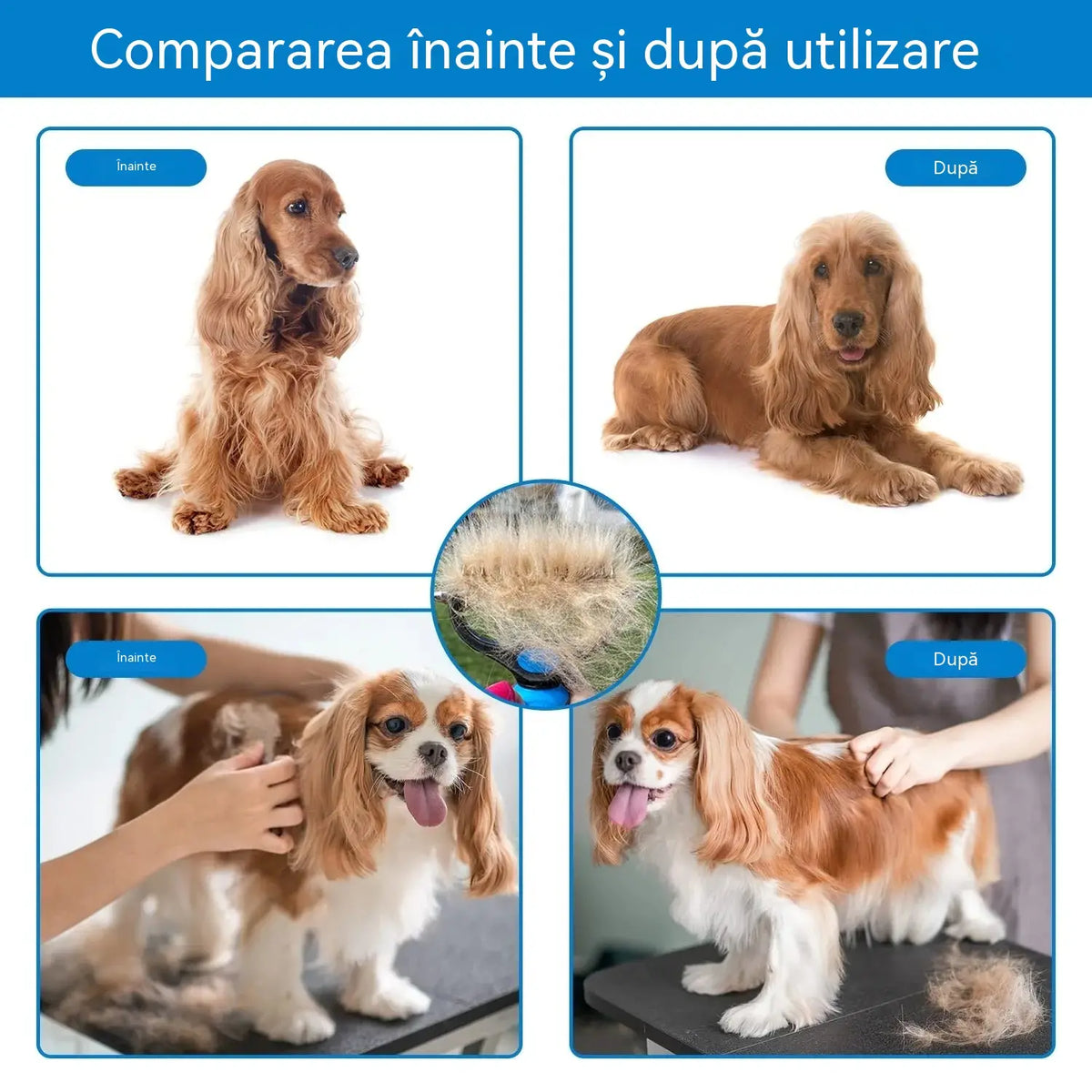 🔥🔥【Cumpără unul, primești unul gratuit】 Perie Profesională pentru Îndepărtarea Părului Mort la Câini și Pisici: Delicată, Eficientă și o Casă Fără Păr! ✨💖